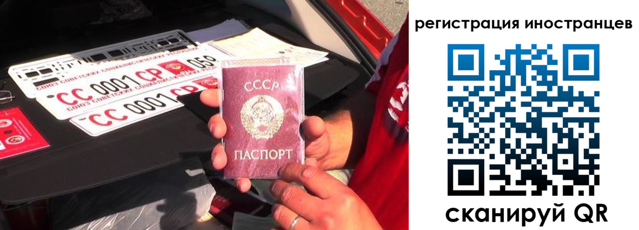 прописка гарантия в Куртамыше